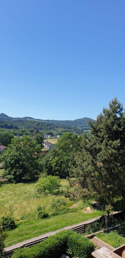 Apartmany Na Vysluni Ceske Svycarsko Jiřetín pod Jedlovou Exterior foto